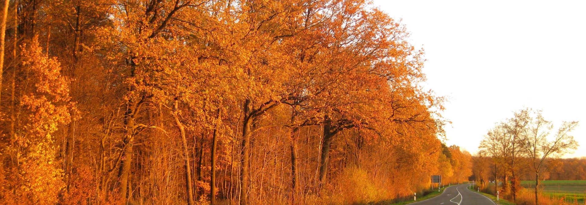 Wechselbild der Gemeinde