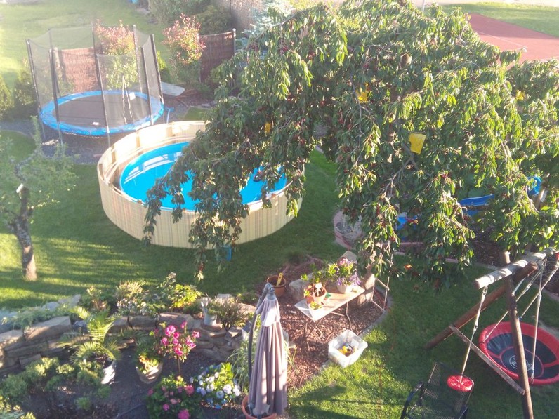 Bild: Garten mit Pool