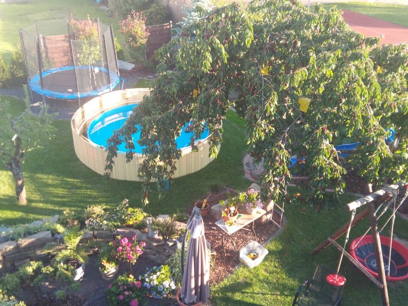 Garten mit Pool Bild: Garten mit Pool