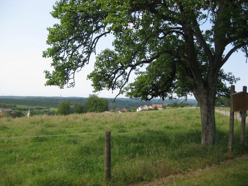 Landwirtschaftlicher Lehrpfad Bild: Landwirtschaftlicher Lehrpfad