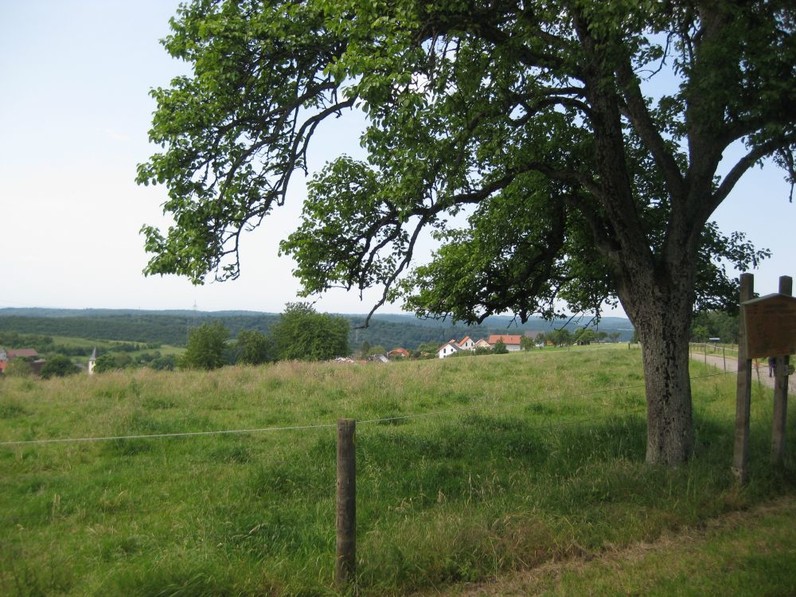 Bild: Landwirtschaftlicher Lehrpfad