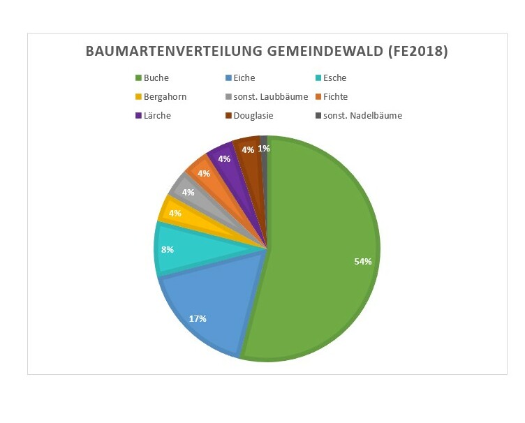 Diagramm Baumartenverteilung
