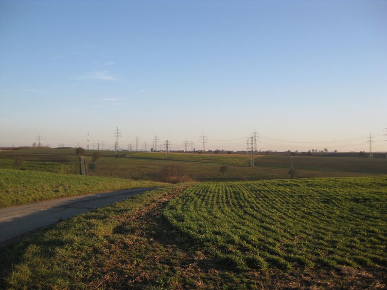 Landwirtschaftlicher Lehrpfad Bild: Landwirtschaftlicher Lehrpfad